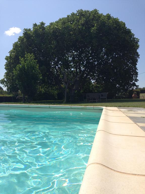 Agriturismo Prati Degli Orti Montiano  Luaran gambar