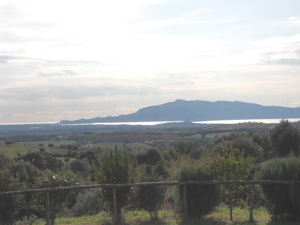 Agriturismo Prati Degli Orti Montiano  Luaran gambar