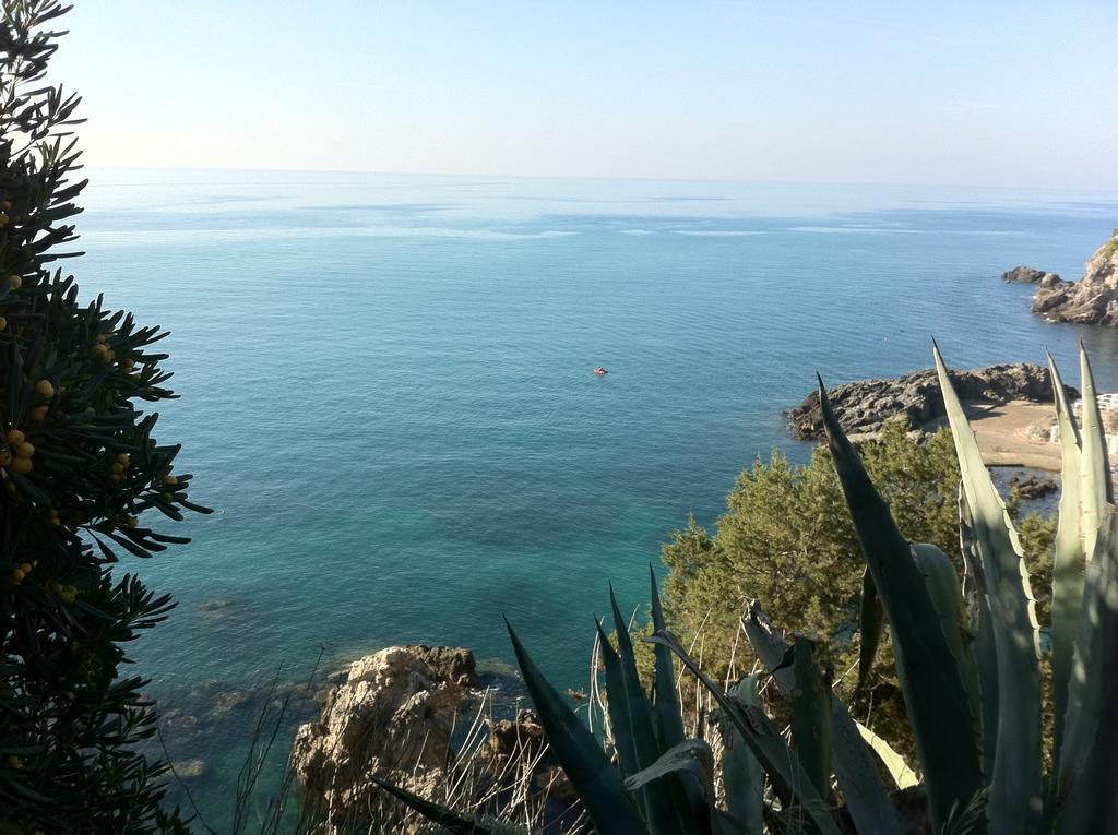 Agriturismo Prati Degli Orti Montiano  Luaran gambar