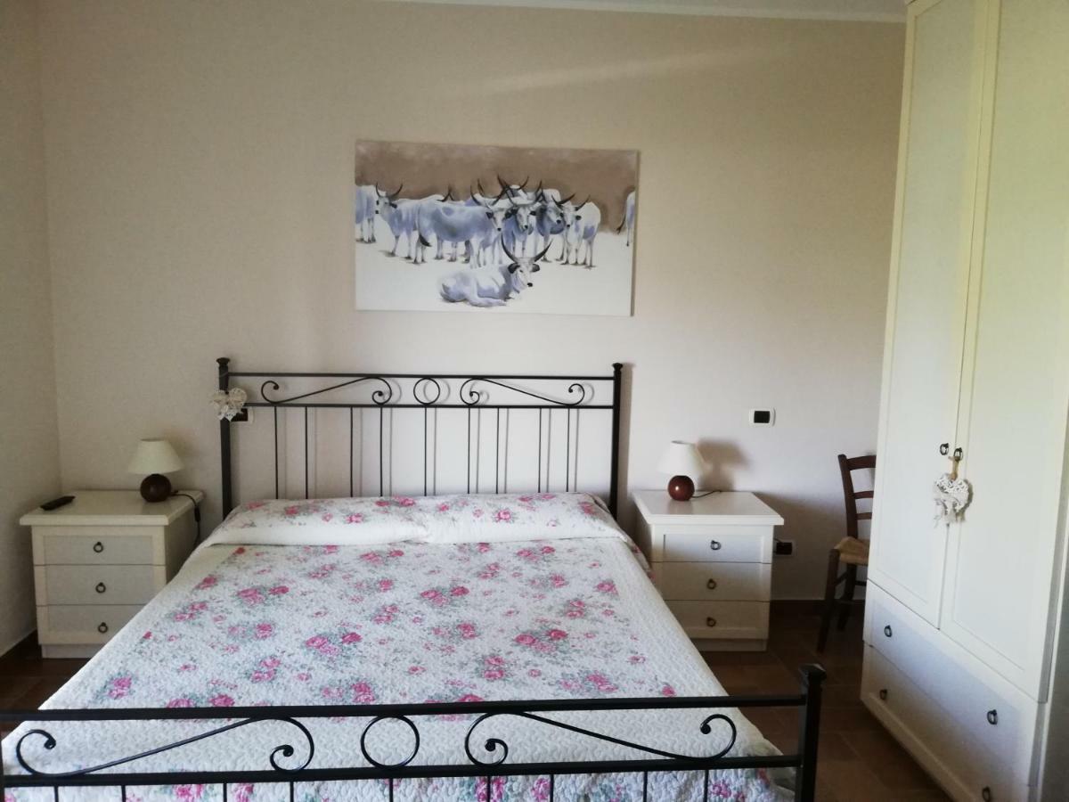 Agriturismo Prati Degli Orti Montiano  Luaran gambar