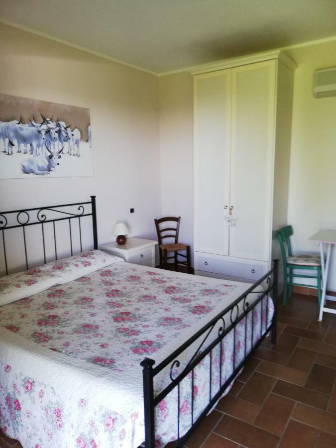 Agriturismo Prati Degli Orti Montiano  Luaran gambar